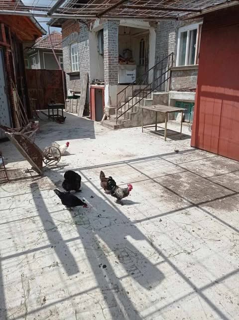 Продавам във Вълчитрън до Плевен  здрава, суха къща с двор,геран,парно, 2 две вътрешни бани с тоалетни